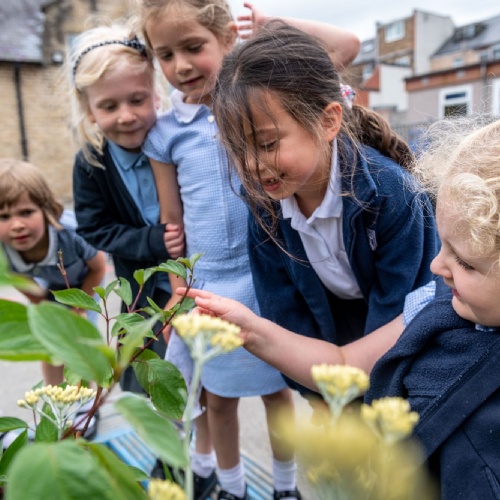 Chorus Trust - Malin Bridge Primary School: Outstanding